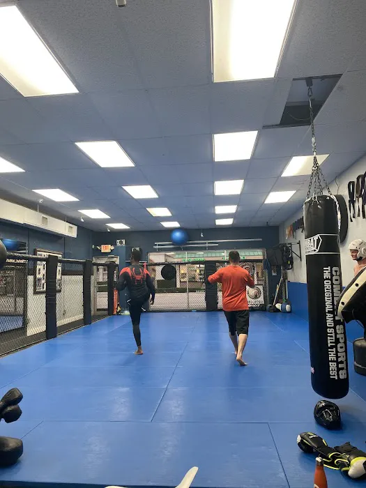 Black Belt Academy Picture 8