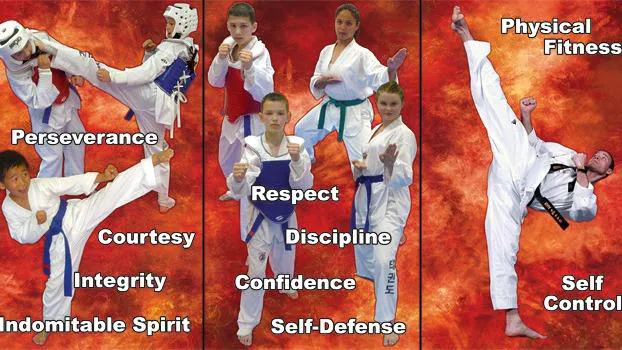 Millennium Martial Arts - Tae Kwon Do Picture 1