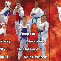 Millennium Martial Arts - Tae Kwon Do ico