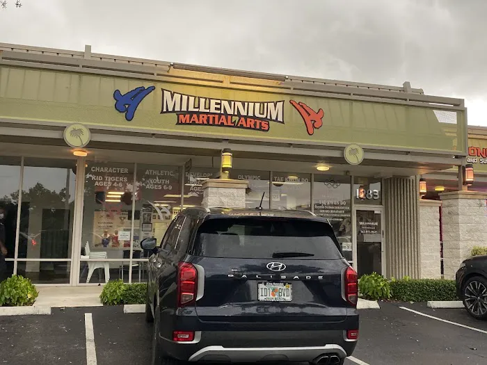 Millennium Martial Arts - Tae Kwon Do Picture 4