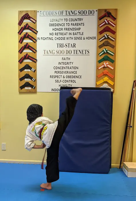 Tri-Star Karate Picture 2