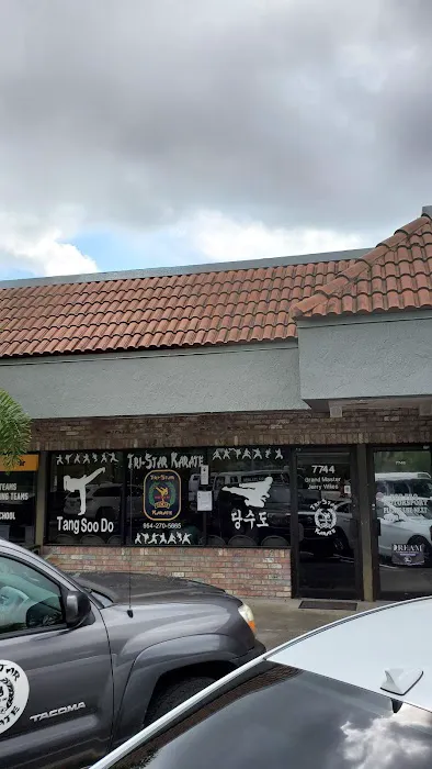 Tri-Star Karate Picture 5