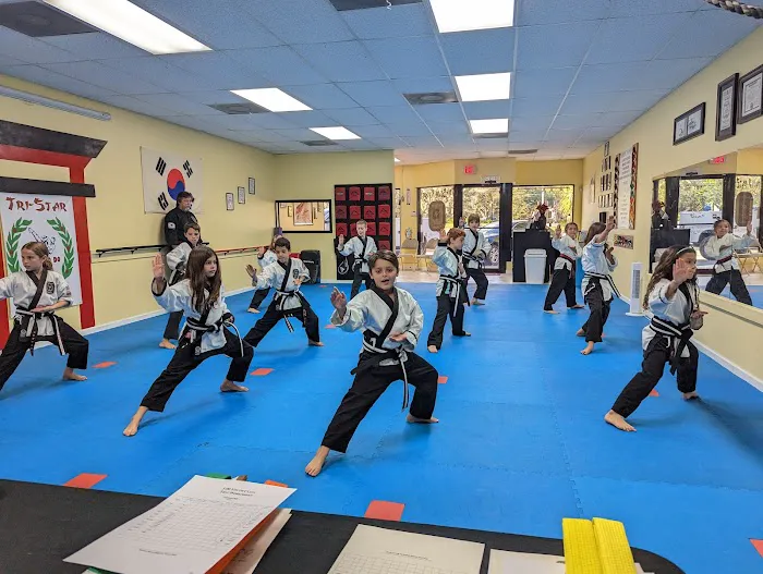 Tri-Star Karate Picture 7