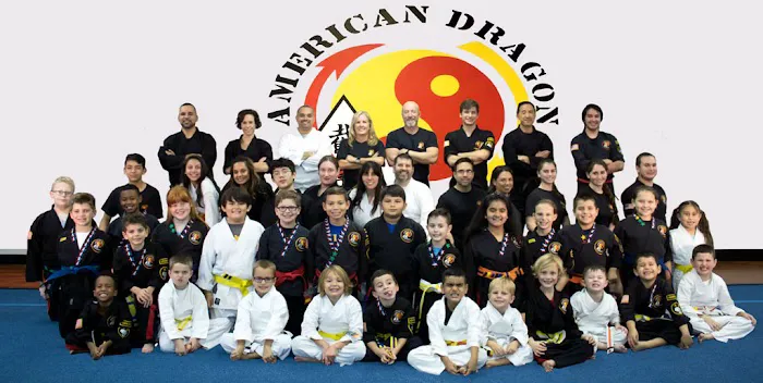 American Dragon Martial Arts Academy Picture 1