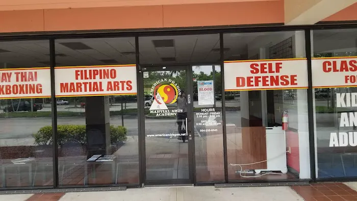 American Dragon Martial Arts Academy Picture 2
