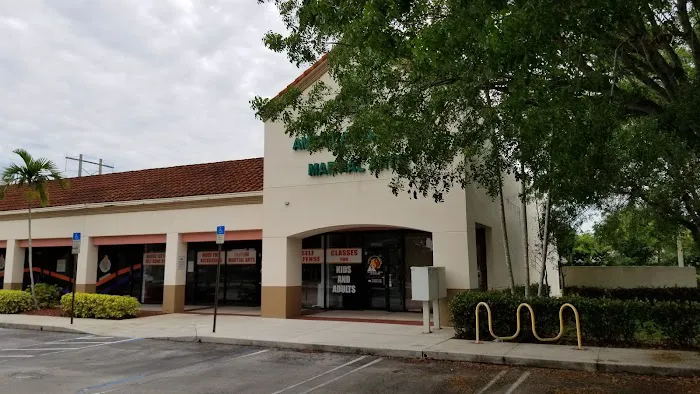 American Dragon Martial Arts Academy Picture 4