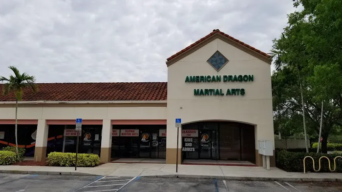 American Dragon Martial Arts Academy Picture 3