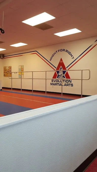 Evolution Martial Arts Picture 9