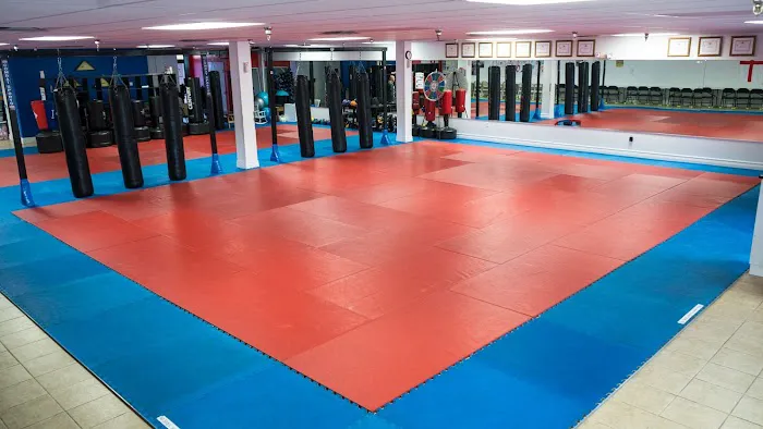 Family knowledge Action Martial Arts Picture 2