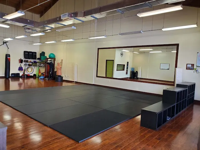 Darsana Martial Arts Picture 1