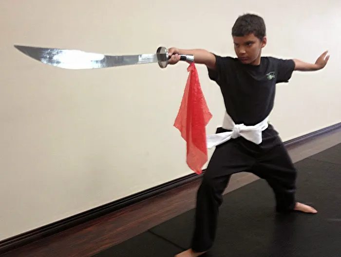Darsana Martial Arts Picture 4
