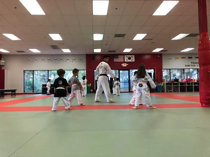 American Tigers Martial Arts Picture 1