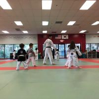 American Tigers Martial Arts ico