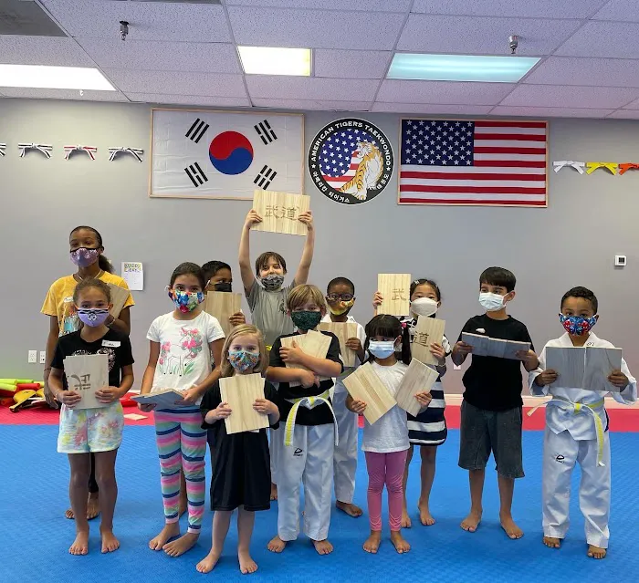 American Tigers Martial Arts Picture 6