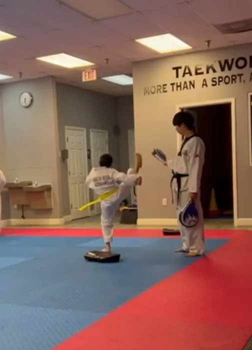 American Tigers Martial Arts Picture 5