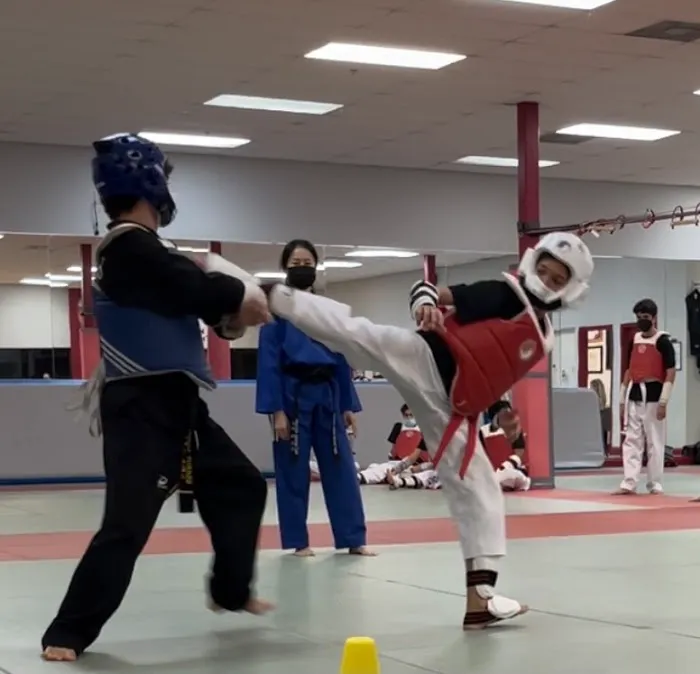 American Tigers Martial Arts Picture 9