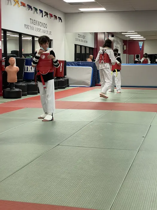 American Tigers Martial Arts Picture 10