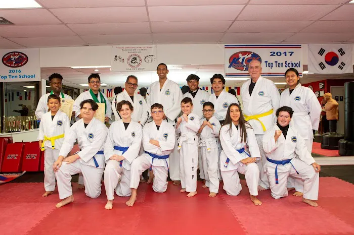Young Dragons Martial Arts / International Taekwondo Federation Picture 6