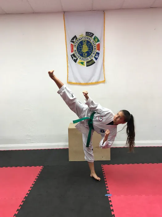 Young Dragons Martial Arts / International Taekwondo Federation Picture 7