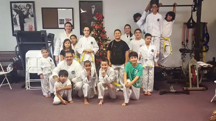 Young Dragons Martial Arts / International Taekwondo Federation Picture 9