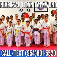 Universal Titan Taekwondo ico