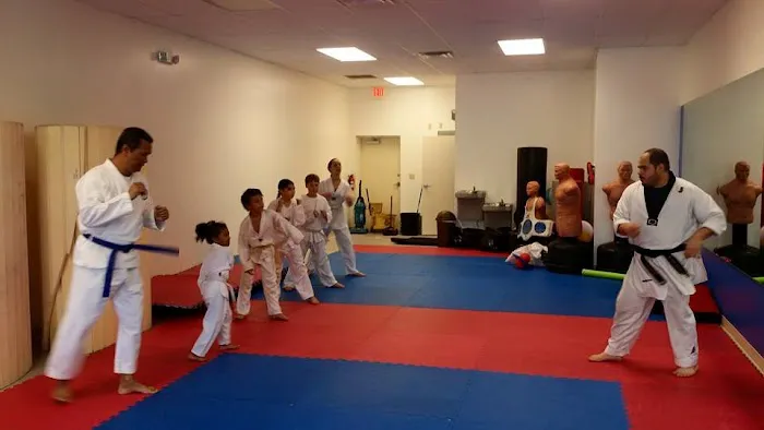 Universal Titan Taekwondo Picture 4
