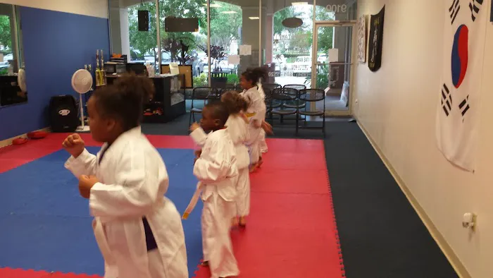 Universal Titan Taekwondo Picture 7