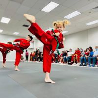 Parks Taekwondo Federation ico