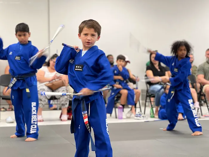 Parks Taekwondo Federation Picture 4