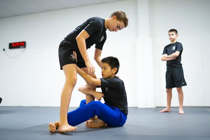 Budo Martial Arts Picture 9