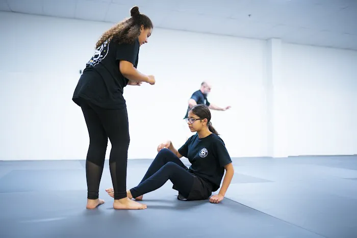 Budo Martial Arts Picture 6