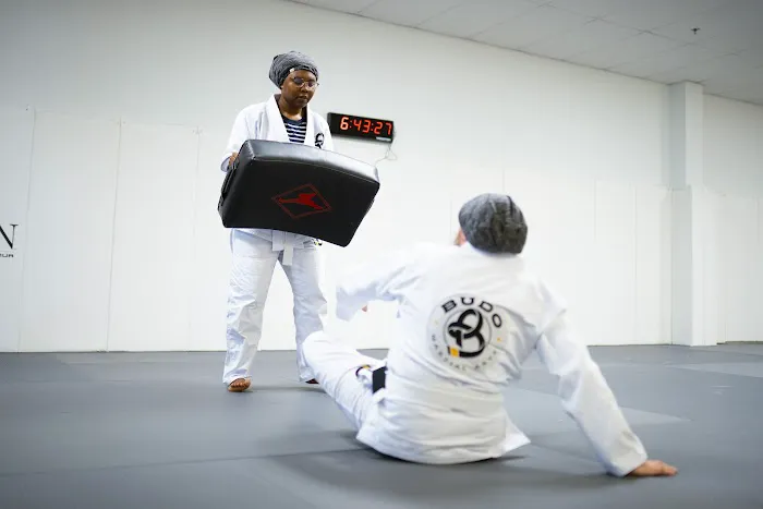 Budo Martial Arts Picture 3