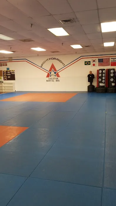 Evolution Martial Arts Picture 1