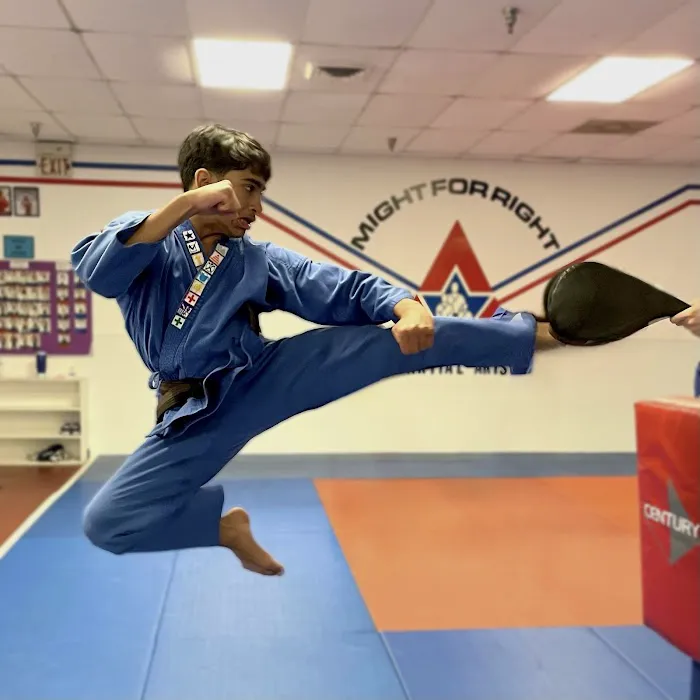 Evolution Martial Arts Picture 4