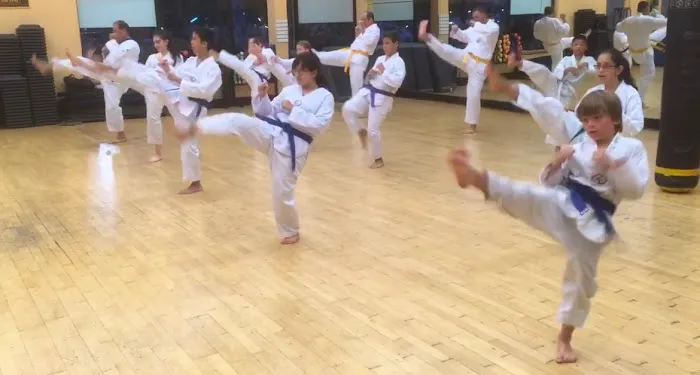 Discovery Tae Kwon Do Picture 1