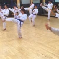Discovery Tae Kwon Do ico