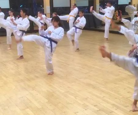 Discovery Tae Kwon Do