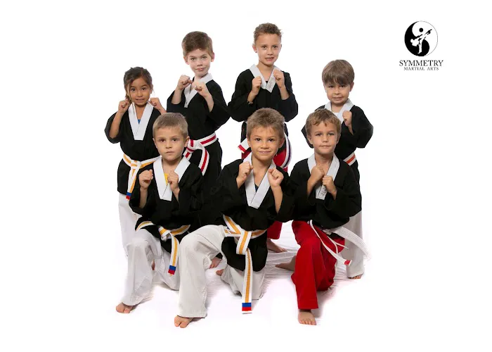 Symmetry Martial Arts Picture 1