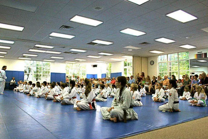 Harmony Martial Arts Center Picture 1