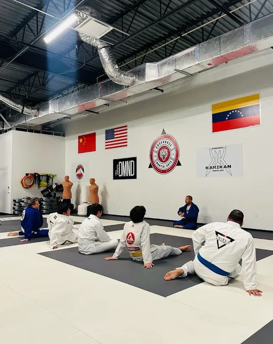 Shield Brazilian Jiu Jitsu Picture 5