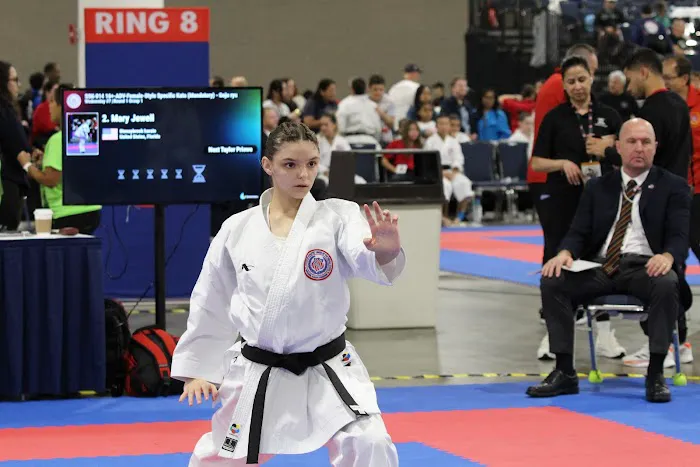 Stoneybrook Karate Picture 1