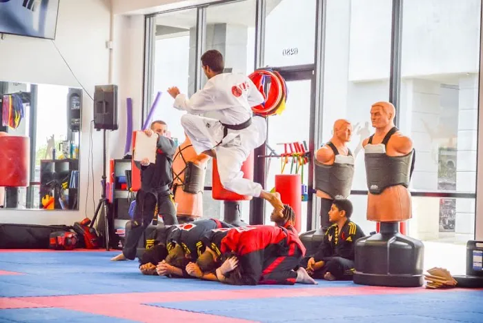 TKO Martial Arts Academy Picture 9