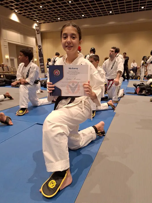 Victory Martial Arts Picture 3