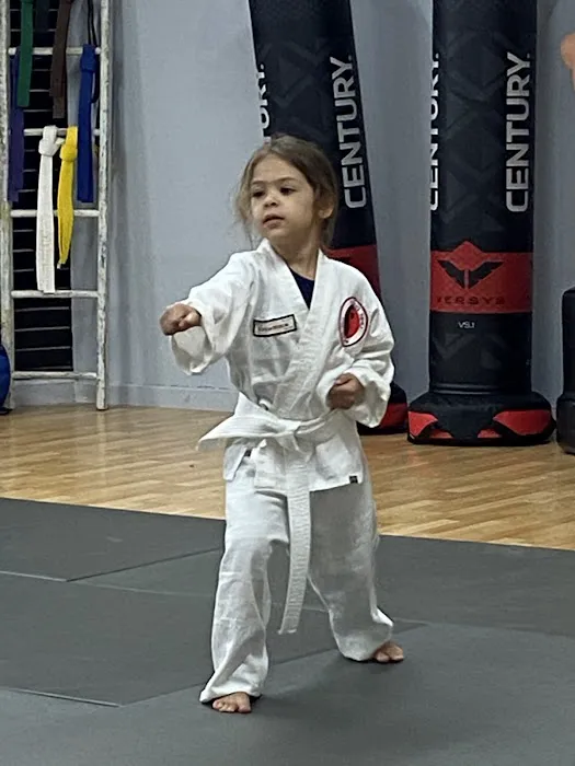 Cuong NHU Karate of Ocala Picture 1