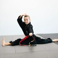 The Martial Arts Center ico