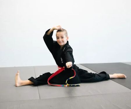 The Martial Arts Center
