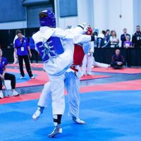 Sabal Taekwondo ico