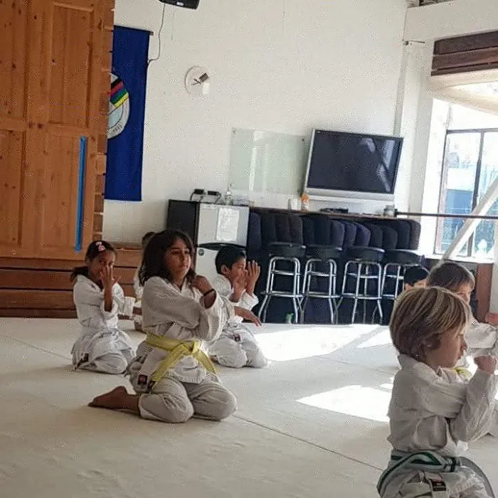 Quantum Martial Arts Picture 3