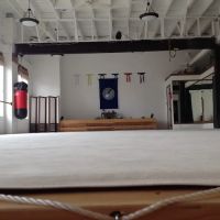 Quantum Martial Arts ico