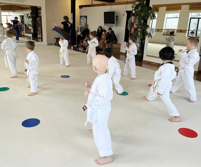 Quantum Martial Arts Picture 7